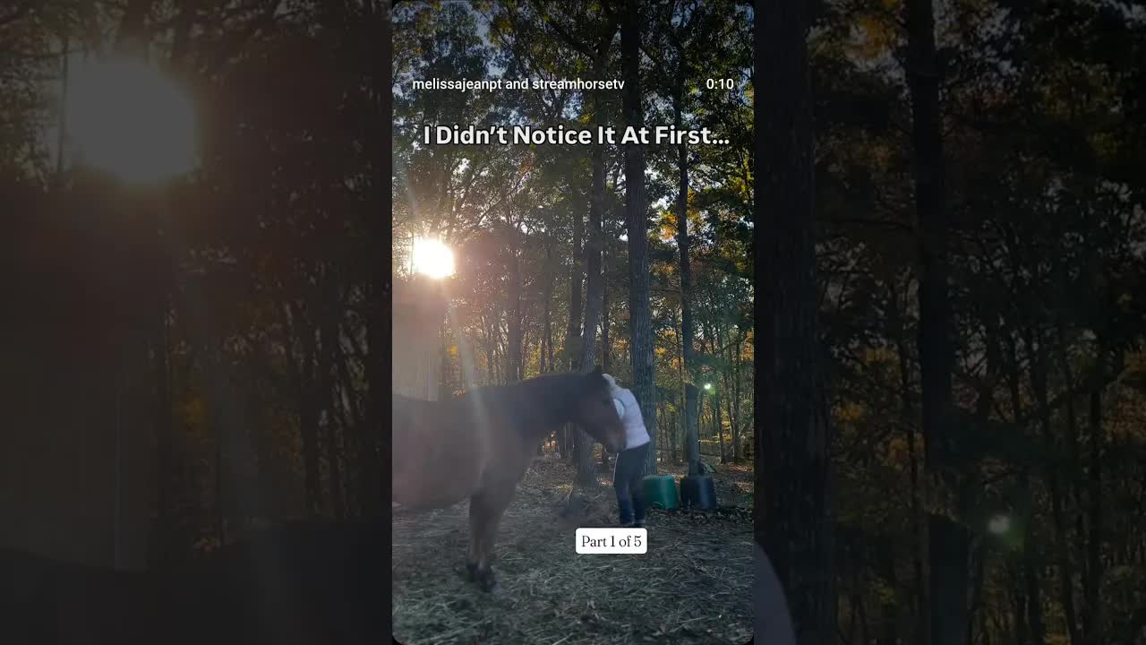 The Soft Return: The Moment I lost it, I didn’t notice at first.