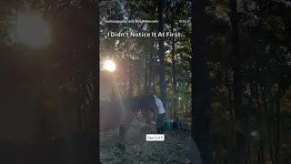 The Soft Return: The Moment I lost it, I didn’t notice at first.