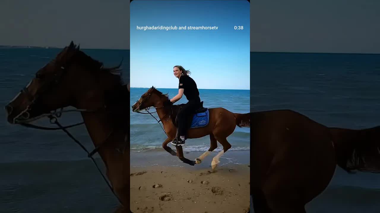 riding free 🐎🤎