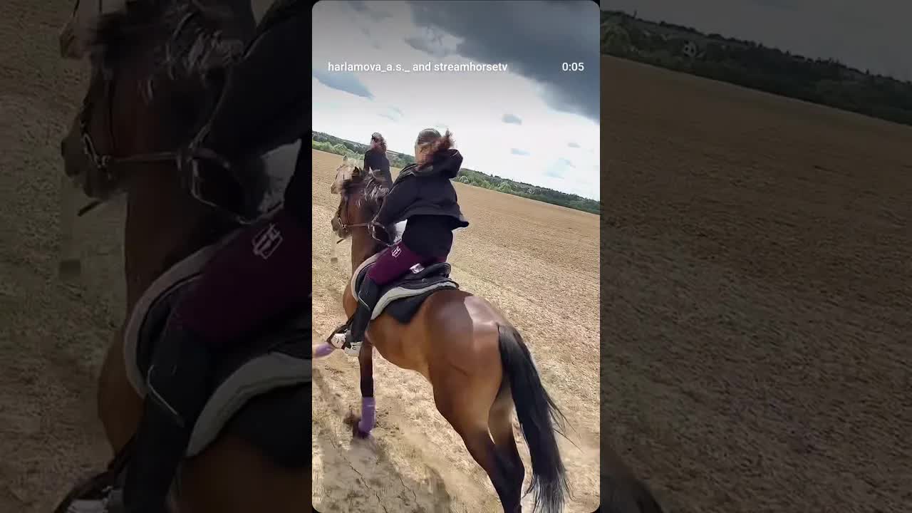 let's go for a ride 🐎