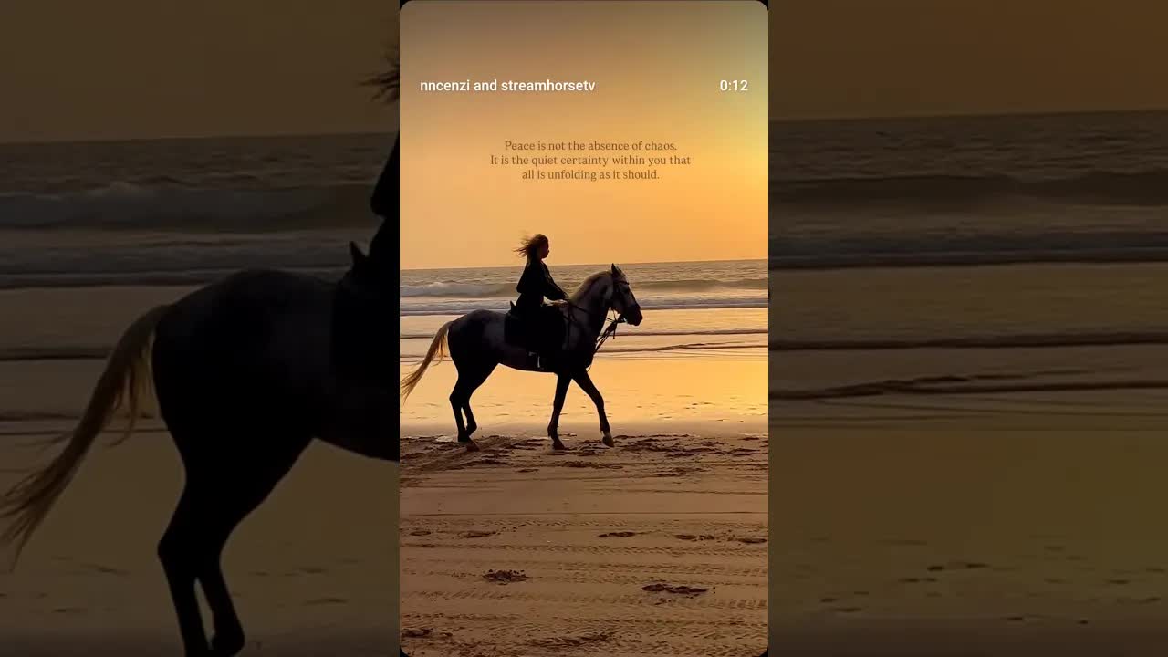 Peace is not the absence of chaos... 💛🐴
