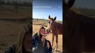 Who wants to share a slice of watermelon with us? 🍉🤣👌