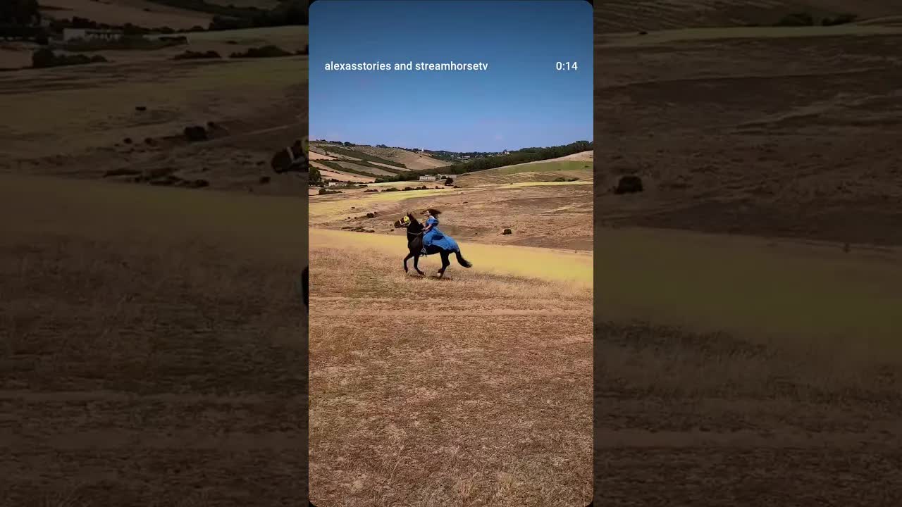 Send this to someone who needs a reset. 😌🐎🏞