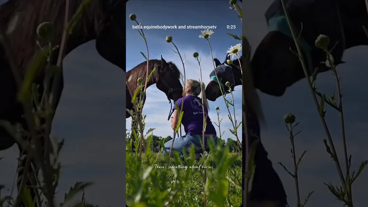 A love letter to horses 💜