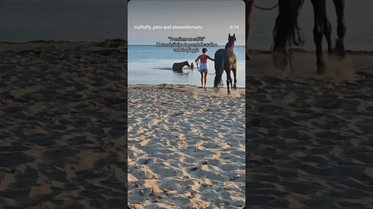 No scusa ho da fare 🐴❤️