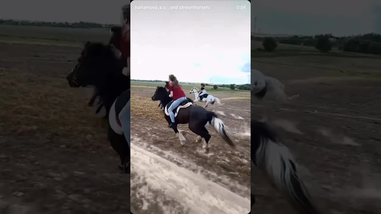 these beautiful things that I've got!