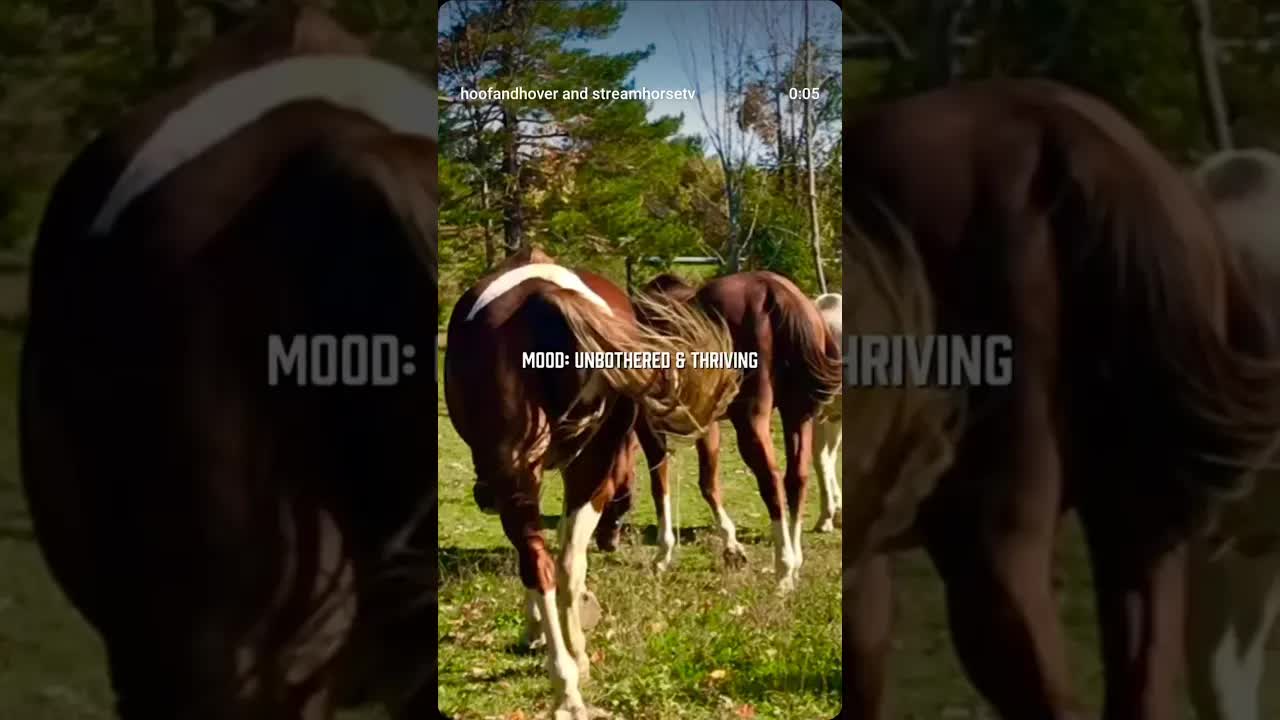 It’s almost as if someone else pays their vet bills… 🙃🤫