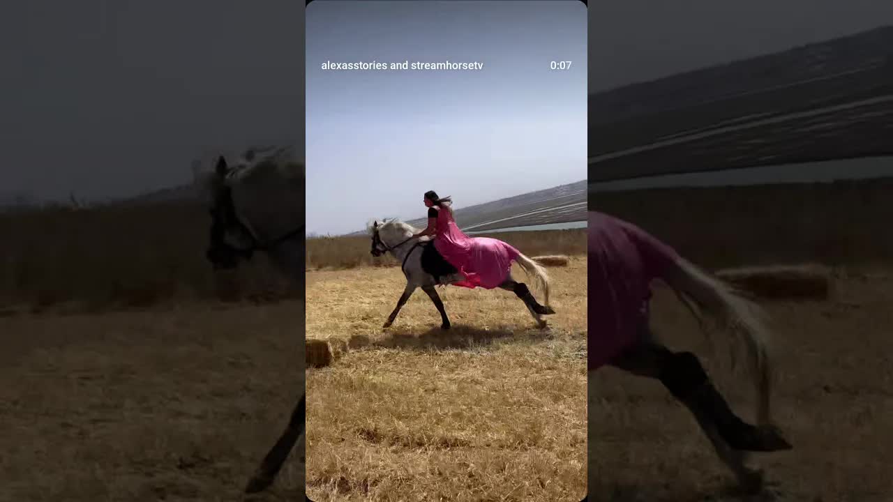 I've always had this dream that i would run away from all my problems on a beautiful white horse 🦄💎