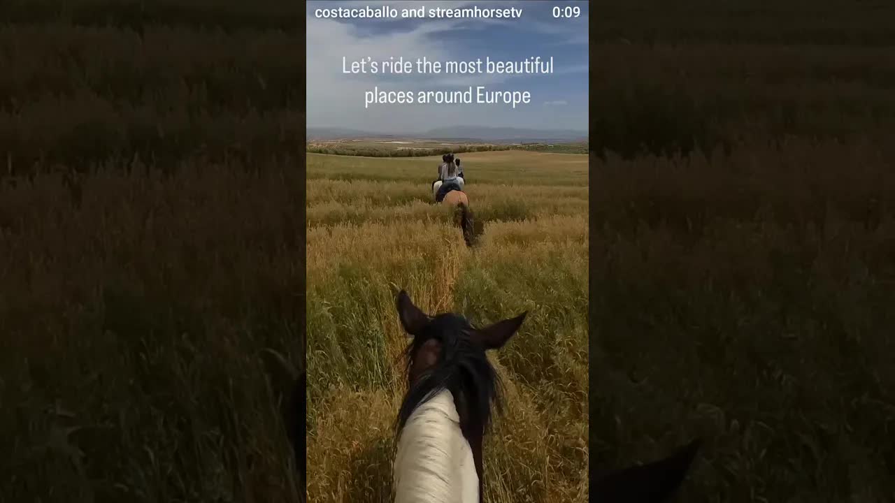 When I moved to southern Spain, I fell in love with hay hippos and the views from the saddle.