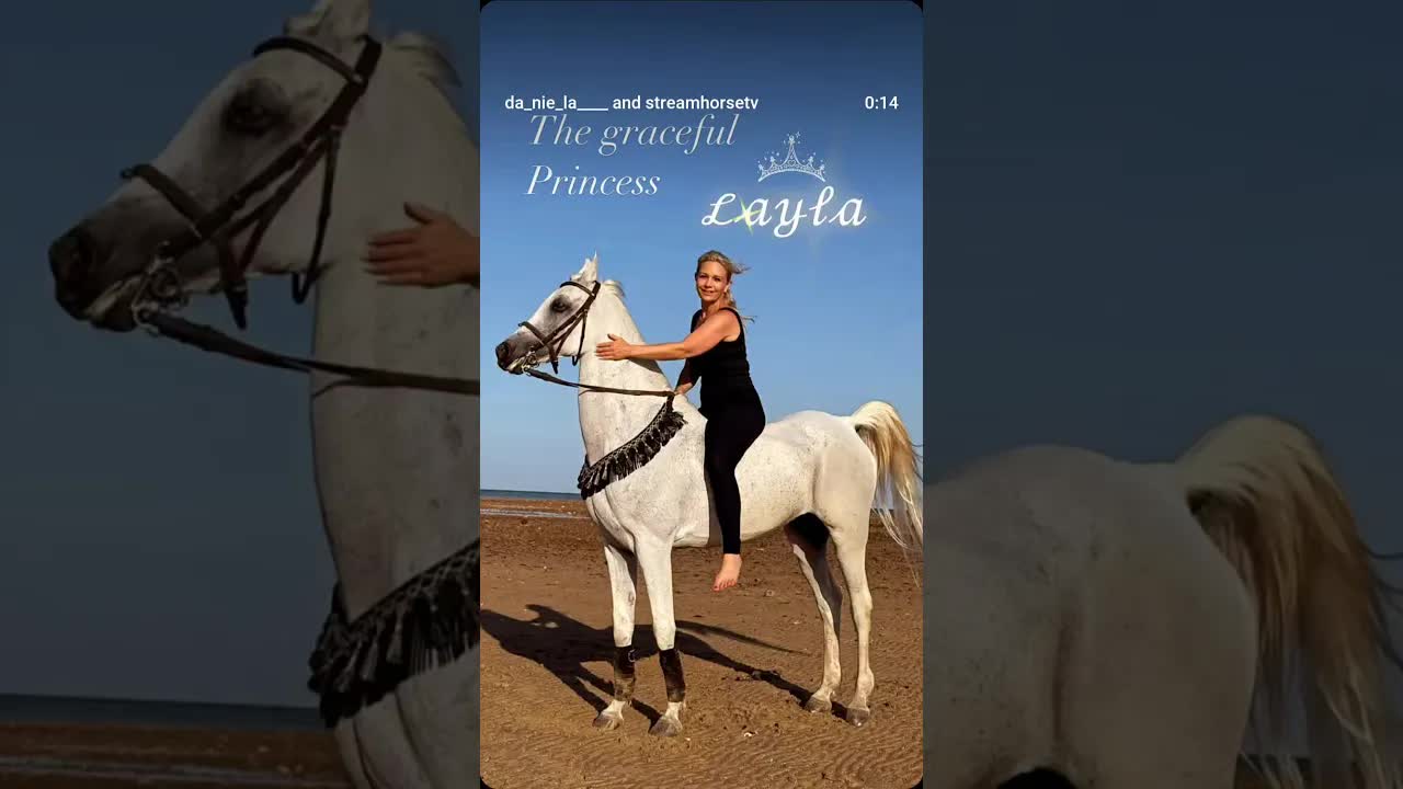 ♥︎ ℒ𝒶𝓎𝓁𝒶 ♥︎👑 What a sensitive and graceful soul. Just adorable 🥰