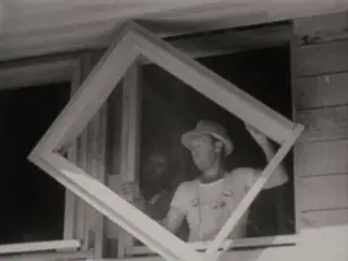 From Trees To Lumber (1953)