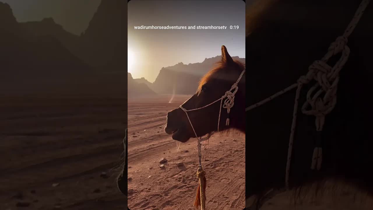 Have you ever seen a whirlwind form in the desert?