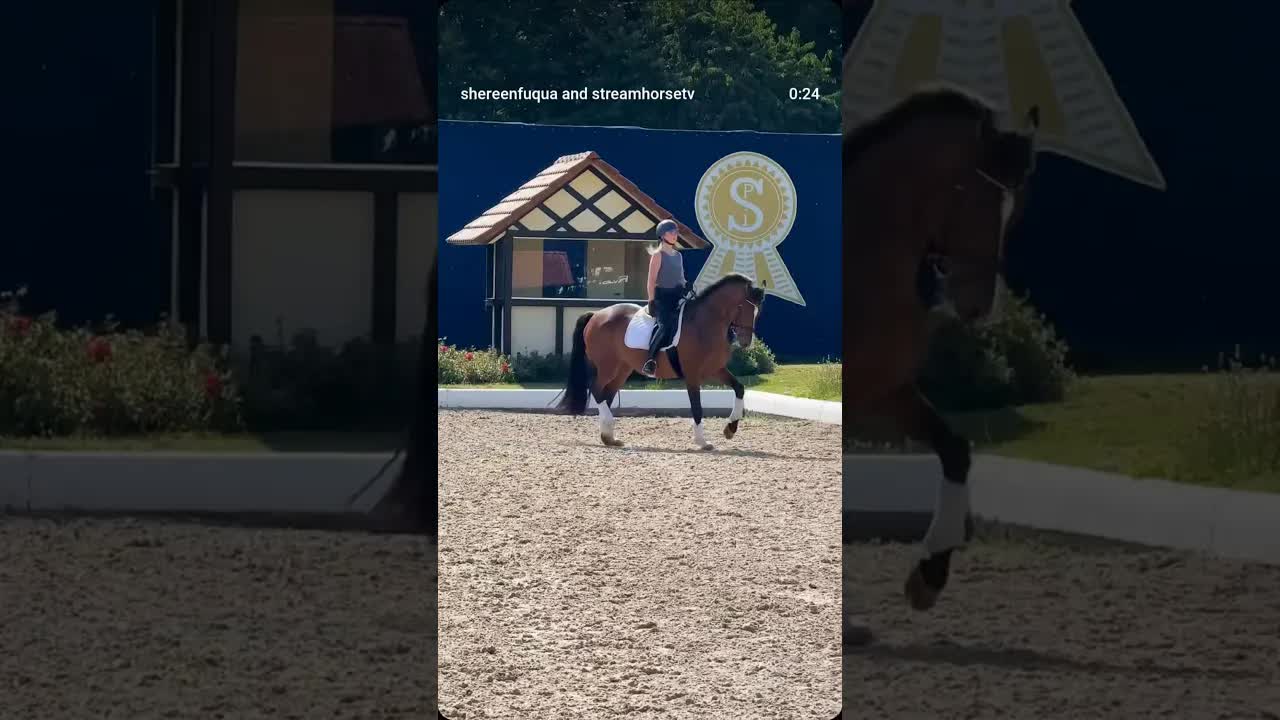 Sometimes you take a step back but appreciate the new coming with Lucky training for Grand Prix 🐎