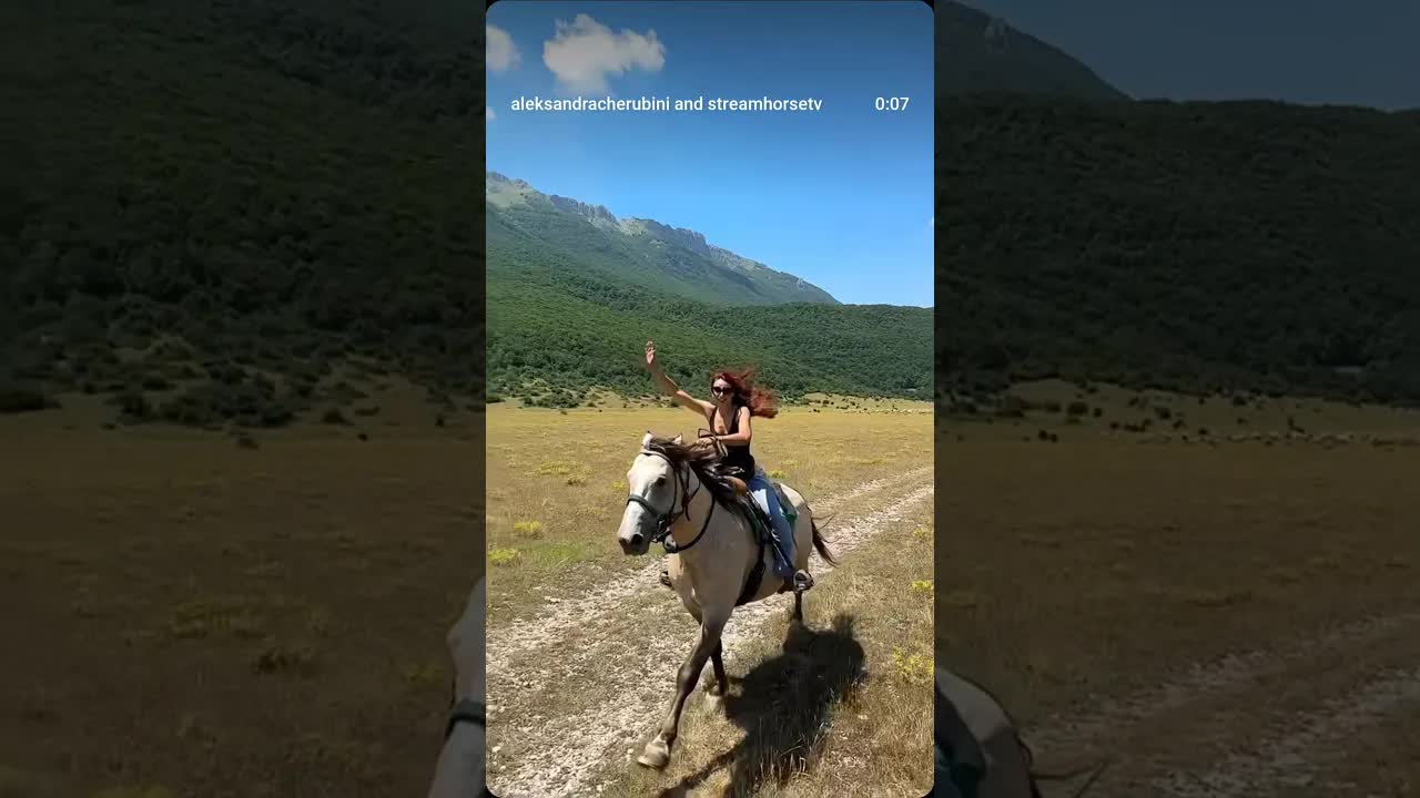 𝓦𝓲𝓵𝓭𝓮𝓼𝓽 𝓓𝓻𝓮𝓪𝓶 🪶