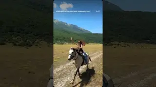 𝓦𝓲𝓵𝓭𝓮𝓼𝓽 𝓓𝓻𝓮𝓪𝓶 🪶