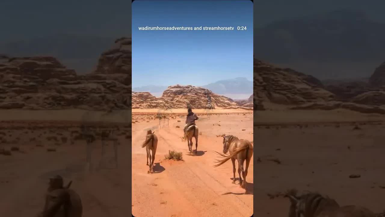 Two great days on the Wadi Rum trail with our grey horses.