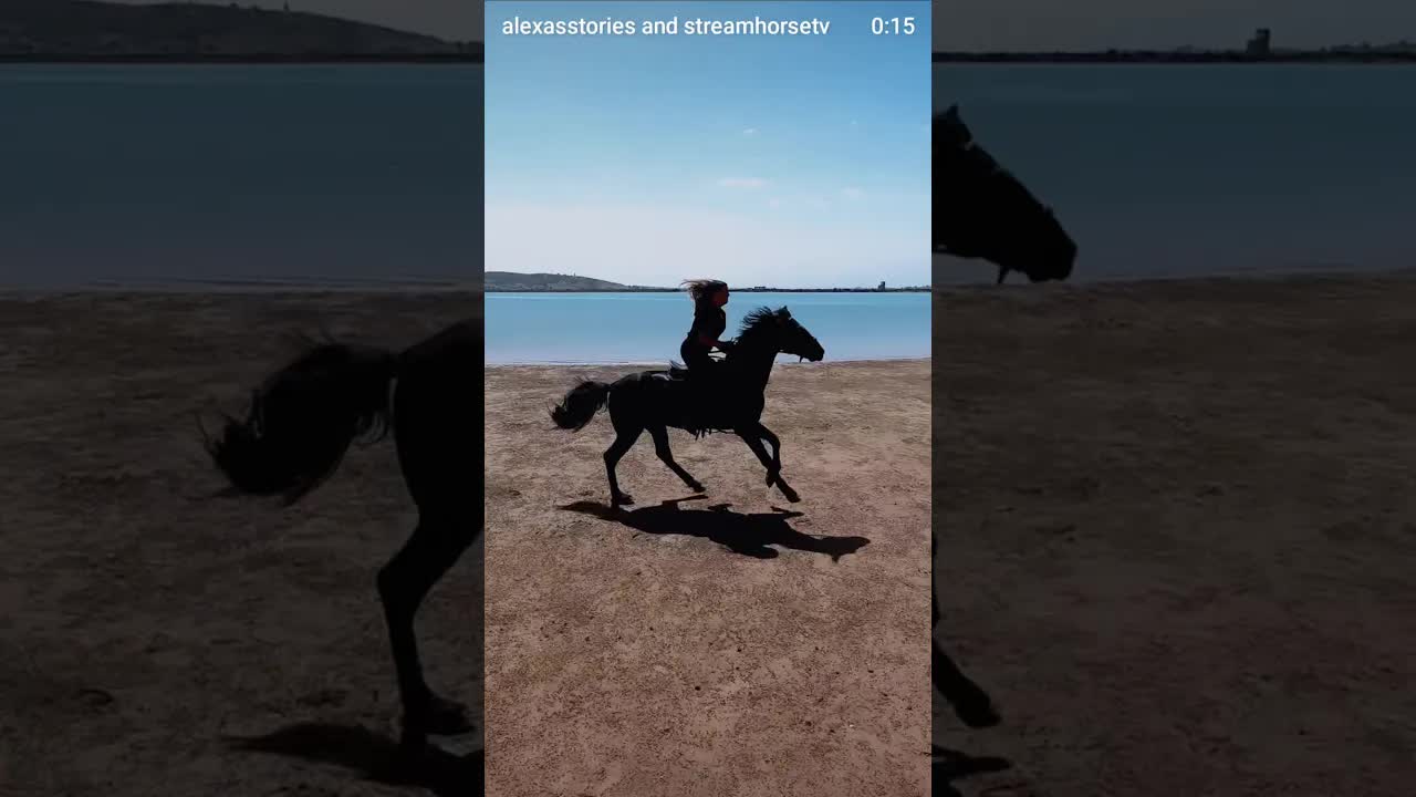 Come fly with us! 🐎🌊