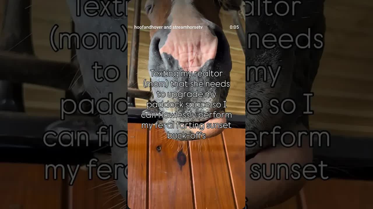 Acreage and space matter - because every dramatic pony moment deserves the perfect stage.