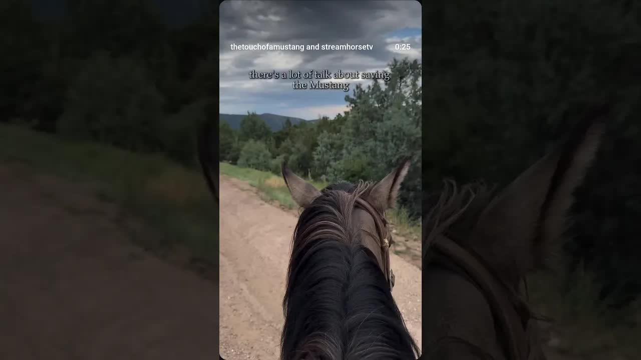 Our whole world would change if we could better embrace the gifts God places right into our hands.