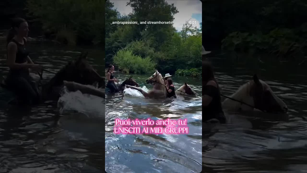 HAI MAI NUOTATO CON UN CAVALLO? 🐎💦 Non è un sogno... è realtà. ✨