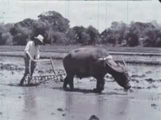 Republic Of The Philippines (1959)