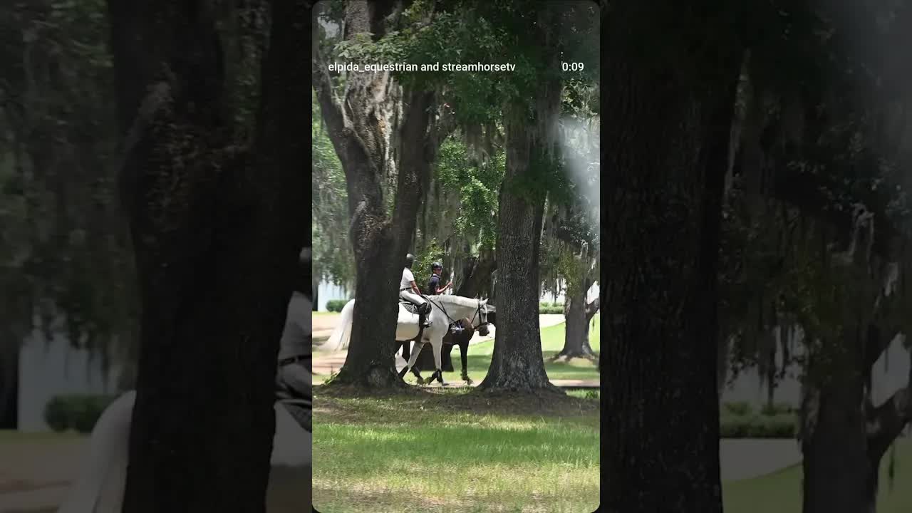 Some downtime after Tryon 🦄 and now we are headed to WEC Ocala Summer Series