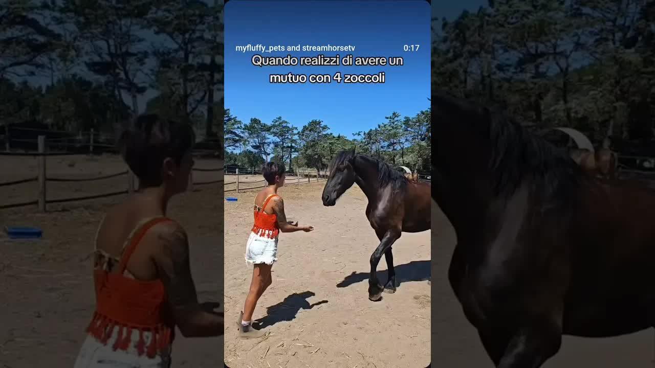 Un mutuo che mi regala amore 🖤