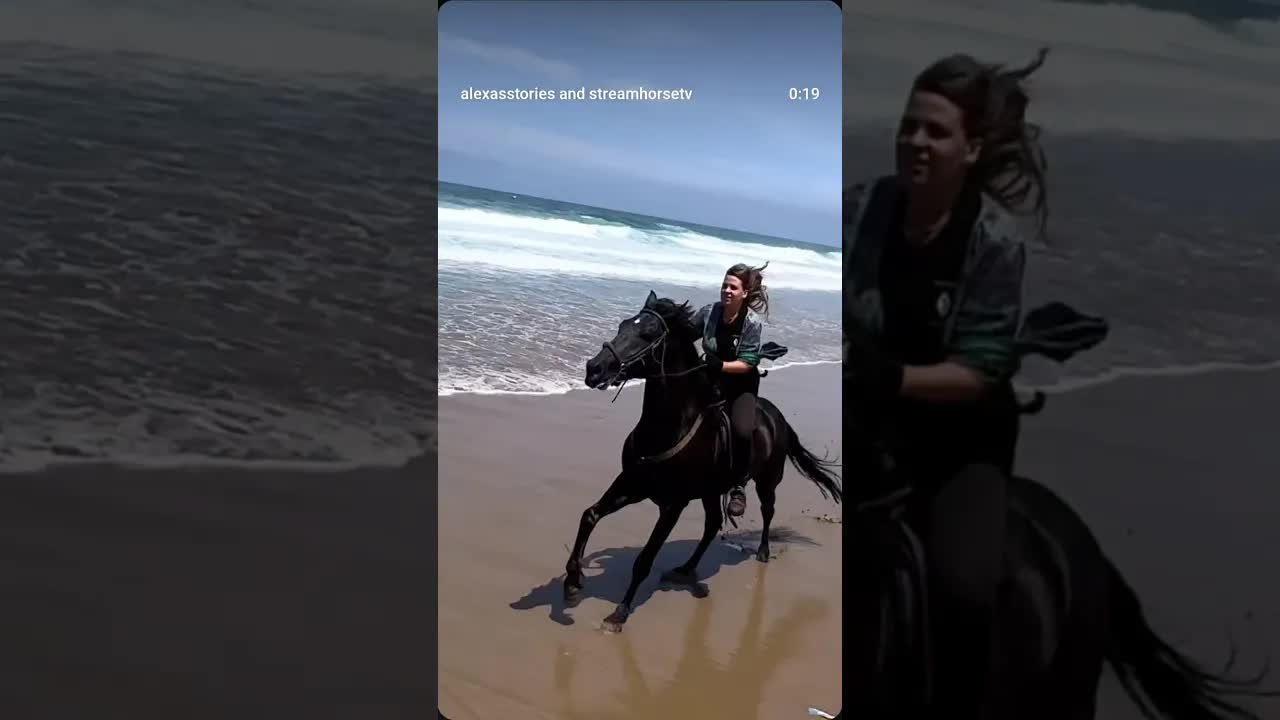 Our heart goes bam bam bam bam bam to every hoofbeat 💗🐎