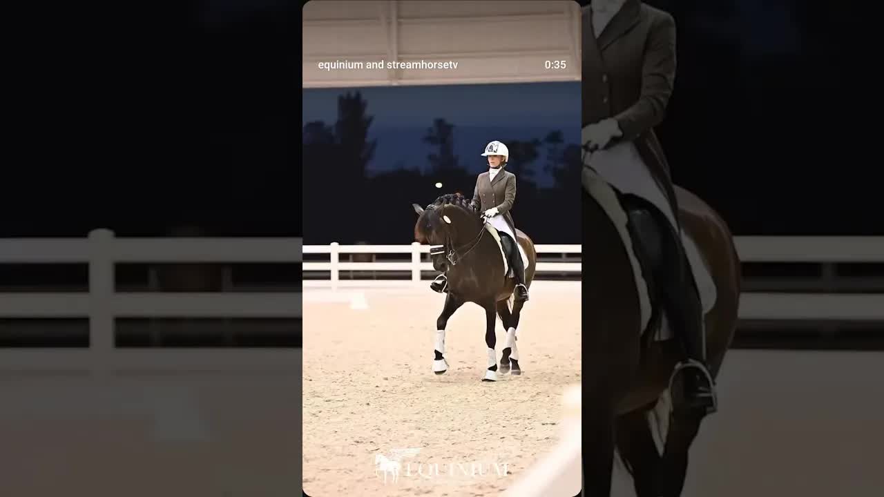 There’s something special about a dressage night class ✨🪩🐎🔝