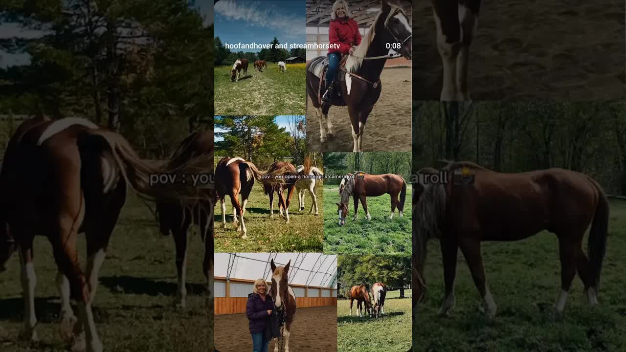 Anyone else use 99% of their phone storage for pony pics? 🙋🏼‍♀️