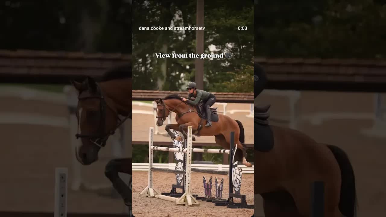 Gary jumping like a 🌟