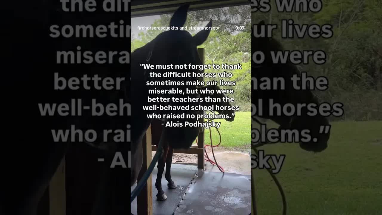 The horses who make us the riders we are and will be 🔥🐎