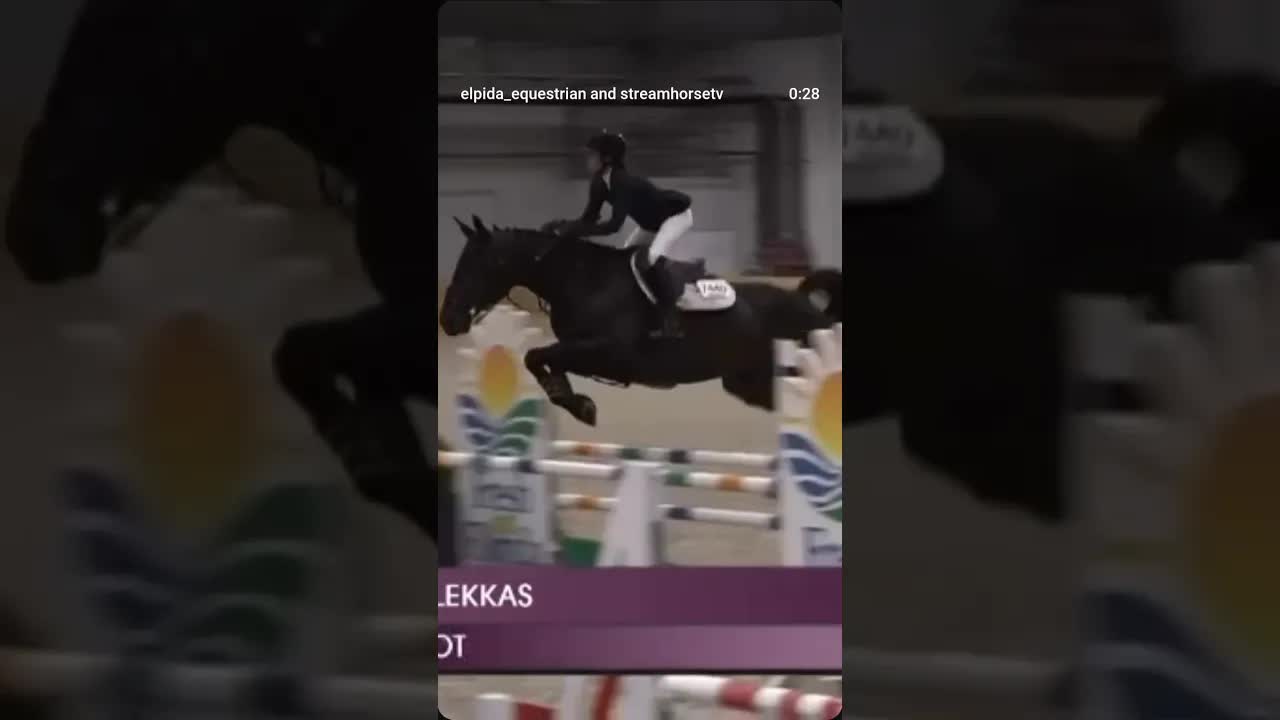 WEC Ocala Summer VIII is a wrap, with Athena and Bella finishing 9th out of 30 🙌🏻💙